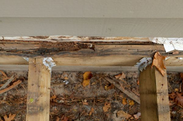 Lafayette Wood Rot Repair