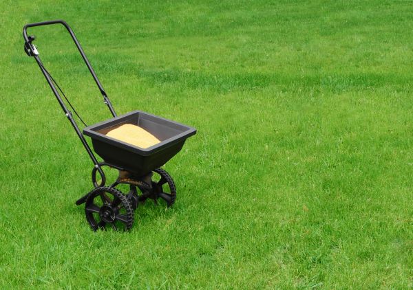 Lafayette Lawn Treatment